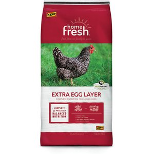 Kent Home Fresh Extra Egg Layer Pellet Poultry Feed, 50-lb bag, 50-lb bag