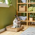 Frisco Disposable Cat Litter Box, 3 Count