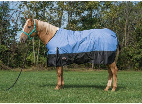 Weaver Leather Economy 600D Turnout Horse Blanket, Blue, 75-in slide 1 of 1