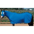 Weaver Leather Lycra Horse Sheet, Blue, Medium