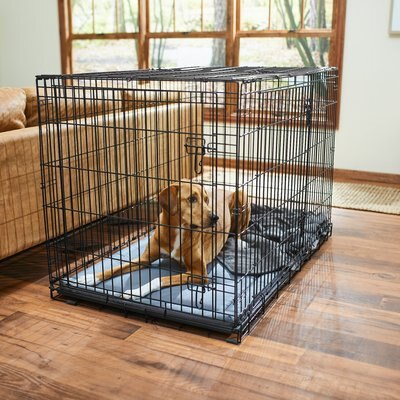 Frisco Heavy Duty All-in-1 Multi-Stage 3 Door Collapsible Wire Dog Crate, slide 1 of 1
