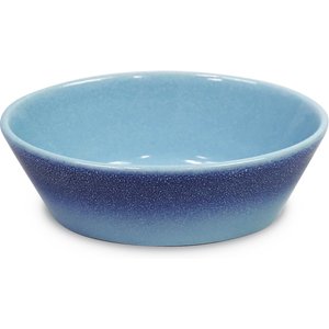 Pioneer Pet Reactive Ceramic Dog & Cat Bowl, Blue, Oval