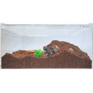 HerpCult Acrylic Insect & Reptile Terrarium, Opaque Top, Large