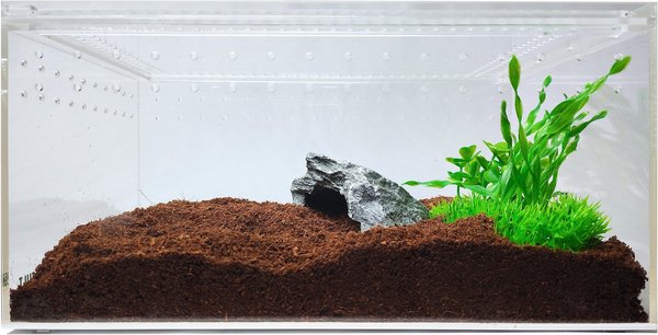 HerpCult Acrylic Insect & Reptile Terrarium, Clear Top, Large slide 1 of 8