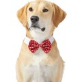 Frisco Polka Dot Dog & Cat Bow Tie, Medium/Large, Red