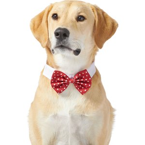 Frisco Polka Dot Dog & Cat Bow Tie, Medium/Large, Red