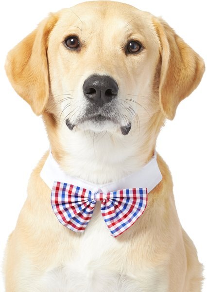 Frisco Plaid Dog & Cat Bow Tie, X-Small/Small, Red & Blue slide 1 of 5