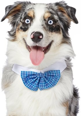 Frisco Plaid Dog & Cat Bow Tie, Blue, slide 1 of 1