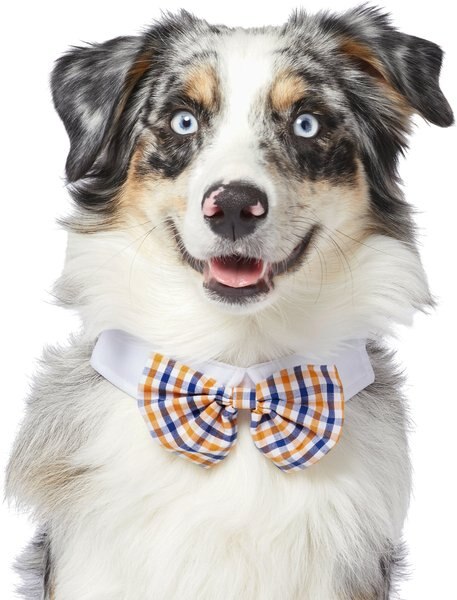 Frisco Plaid Dog & Cat Bow Tie, Orange & Blue, Medium/Large slide 1 of 4