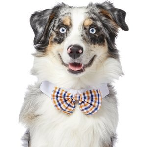Frisco Plaid Dog & Cat Bow Tie, Orange & Blue, Medium/Large