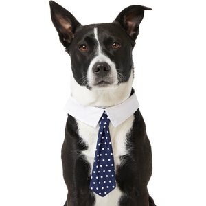Frisco Polka Dot Dog & Cat Neck Tie, X-Small/Small, Navy