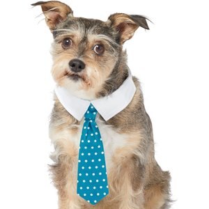 Frisco Polka Dot Dog & Cat Neck Tie, Teal, Medium/Large