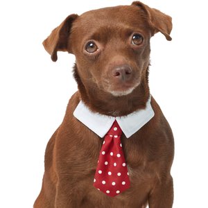 Frisco Polka Dot Dog & Cat Neck Tie, Medium/Large, Red