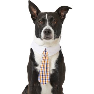 Frisco Plaid Dog & Cat Neck Tie, Orange & Blue, X-Small/Small