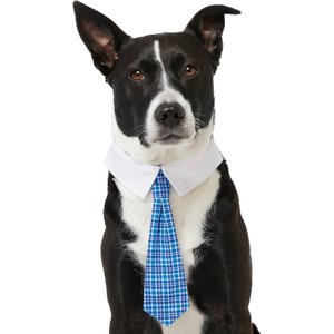 Frisco Plaid Dog & Cat Neck Tie, X-Small/Small, Blue Plaid