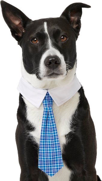 Frisco Plaid Dog & Cat Neck Tie, Medium/Large, Blue Plaid slide 1 of 4