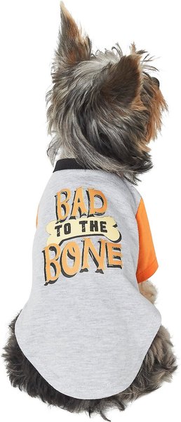 Frisco Bad to the Bone Dog & Cat T-Shirt, Small slide 1 of 7