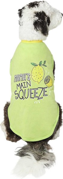 Frisco Mama's Main Squeeze Dog & Cat T-Shirt, Large slide 1 of 6