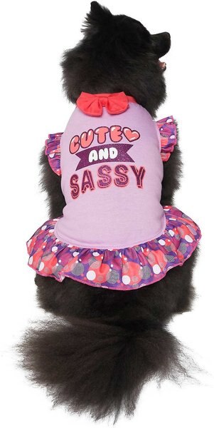 Frisco Cute & Sassy Dog & Cat Dress, X-Small slide 1 of 7