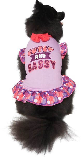 Frisco Cute & Sassy Dog & Cat Dress, Large slide 1 of 6
