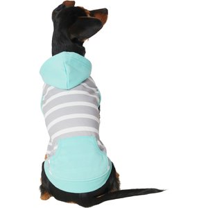 Frisco Striped Colorblock Dog & Cat Hoodie, Teal, X-Small