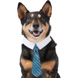 Frisco Striped Dog & Cat Neck Tie, Blue, X-Small/Small