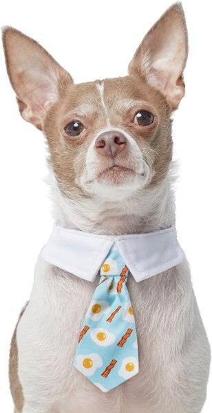 Frisco Brunch Dog & Cat Neck Tie, Medium/Large slide 1 of 4