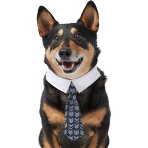 Frisco Boho Dog & Cat Neck Tie, X-Small/Small