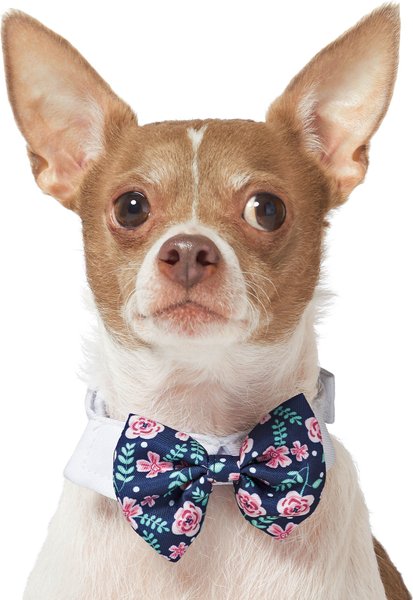 Frisco Floral Dog & Cat Bow Tie, Medium/Large slide 1 of 4
