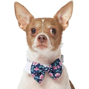 Frisco Floral Dog & Cat Bow Tie, Medium/Large
