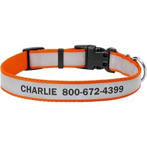 Frisco Polyester Personalized Reflective Dog Collar, Medium – Neck: 14 – 20-in, Width: 3/4-in, Orange