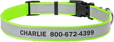 Frisco Polyester Personalized Reflective Dog Collar, slide 1 of 1