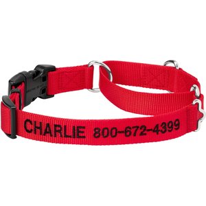 Frisco Solid Nylon Personalized Martingale Dog Collar, Medium: 17 to 20-in neck, 1-in, wide Red
