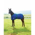 WeatherBeeta 420D Foal Standard Neck Medium Horse Blanket, Navy/Hunter, Growing (42-57 inches)
