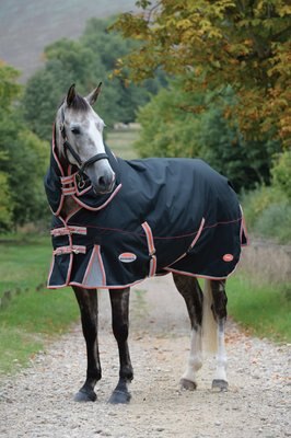 WeatherBeeta Comfitec Premier With Therapy-Tec Detach-A-Neck Medium Horse Blanket, slide 1 of 1