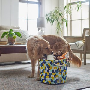 Frisco Round Collapsible Pet Toy Storage Bin, Yellow Geometric