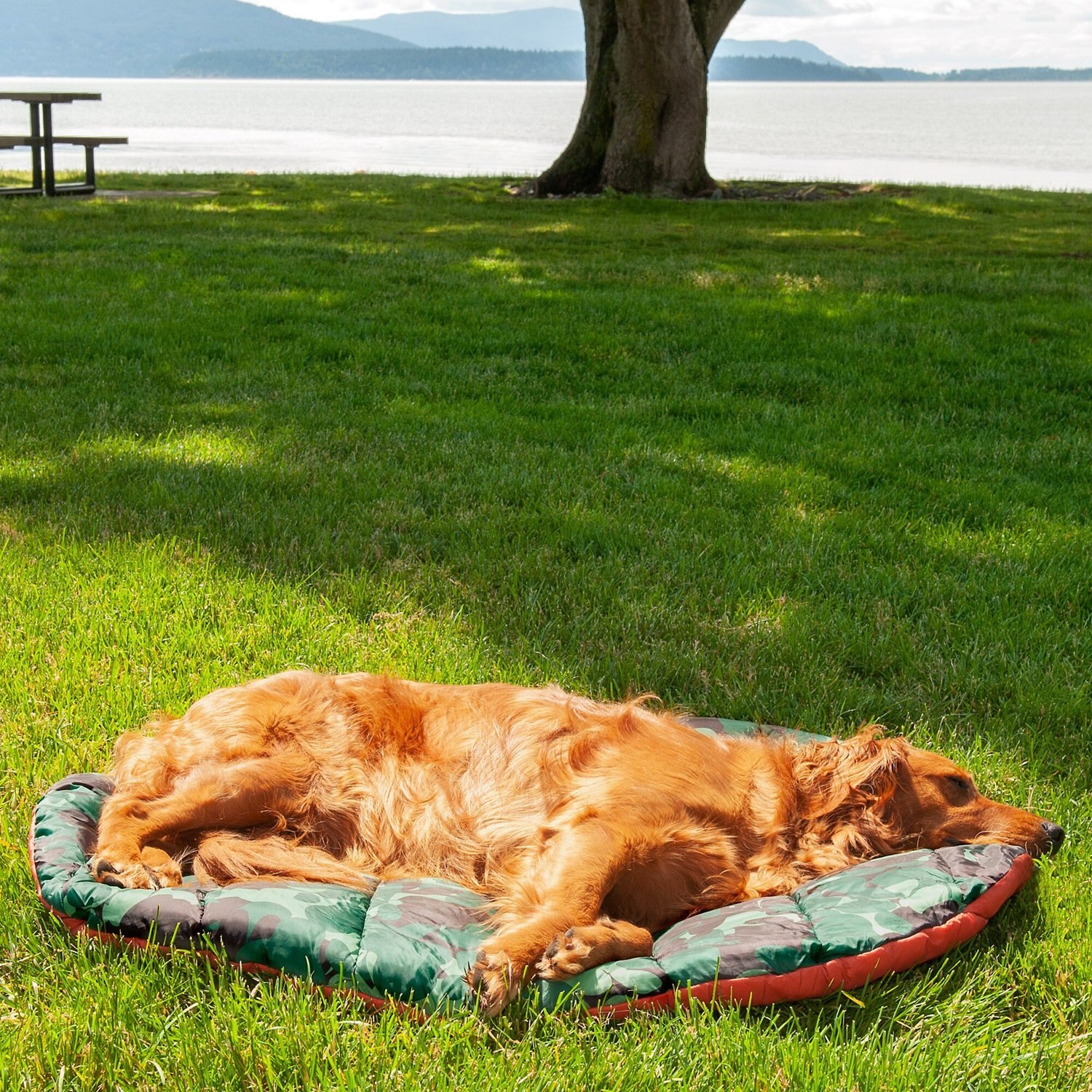 FurHaven Trail Pup Packable Travel Pillow Dog Bed