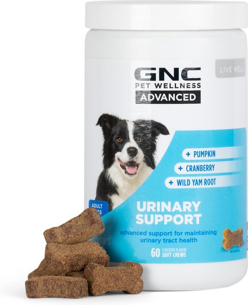 GNC Pets Advanced Urinary Support Chicken Flavor Soft Chews Dog Supplement, 60 count slide 1 of 5