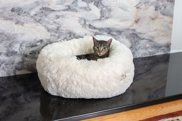Armarkat Cuddler Cat Bed, Small slide 1 of 9