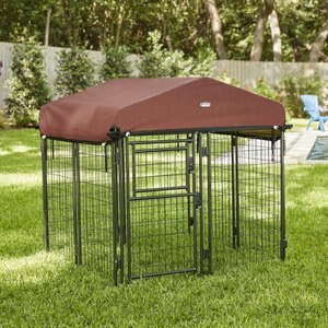 Two By Two Dog Kennel, Black Diamond, 48-in