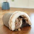 Frisco Fur Snuggle Sack Cat Covered Bed, Brown