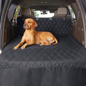 tan dog laying on cargo cover inside an SUV