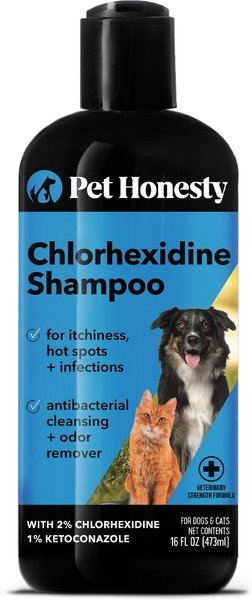 PetHonesty Chlorhexidine Antibacterial Cleansing & Odor Remover Dog Shampoo, 16-oz bottle slide 1 of 6