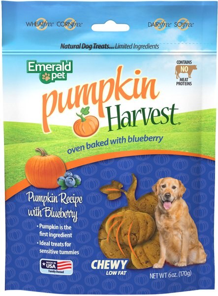 Emerald Pet Pumpkin Harvest Oven Baked Pumpkin Recipe With Blueberry Chewy Dog Treats, 6-oz bag slide 1 of 2