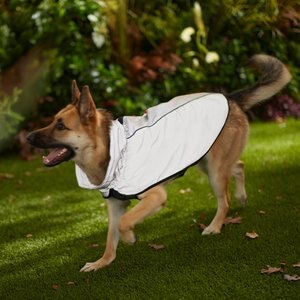 KONG Reflective Dog Jacket, Silver, Small