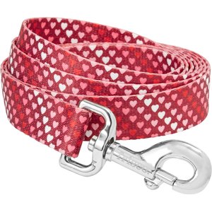Frisco Gradient Hearts Polyester Dog Leash, LG – Length: 6-ft, Width: 1-in