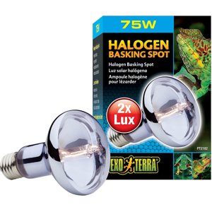 Exo Terra Sun Glo Halogen Daylight Reptile Lamp, 75-w bulb