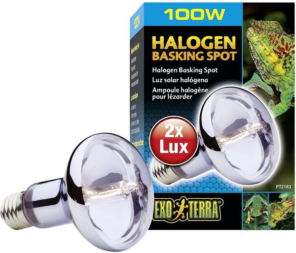 Exo Terra Sun Glo Halogen Daylight Reptile Lamp, 100-w bulb slide 1 of 3