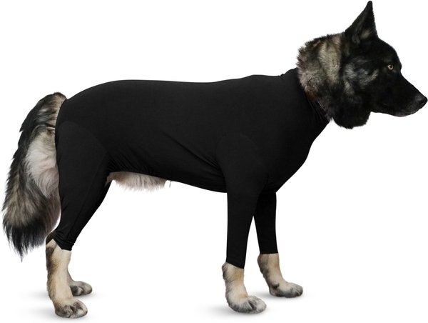 Shed Defender Sport Shedding Bodysuit for Dogs, Black, Giant slide 1 of 7