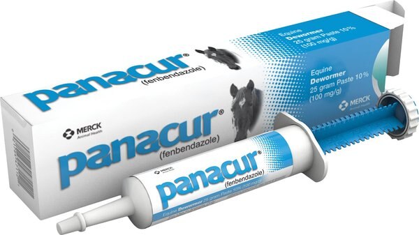 Panacur Equine Paste 10% Horse Dewormer, 25g, 2 count slide 1 of 5